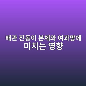 배관 진동이 본체와 여과망에 미치는 영향