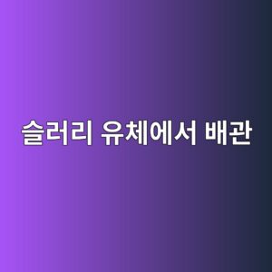 ec8aaceb9faceba6ac ec9ca0ecb2b4ec9790ec849c ebb0b0eab480 1787532441