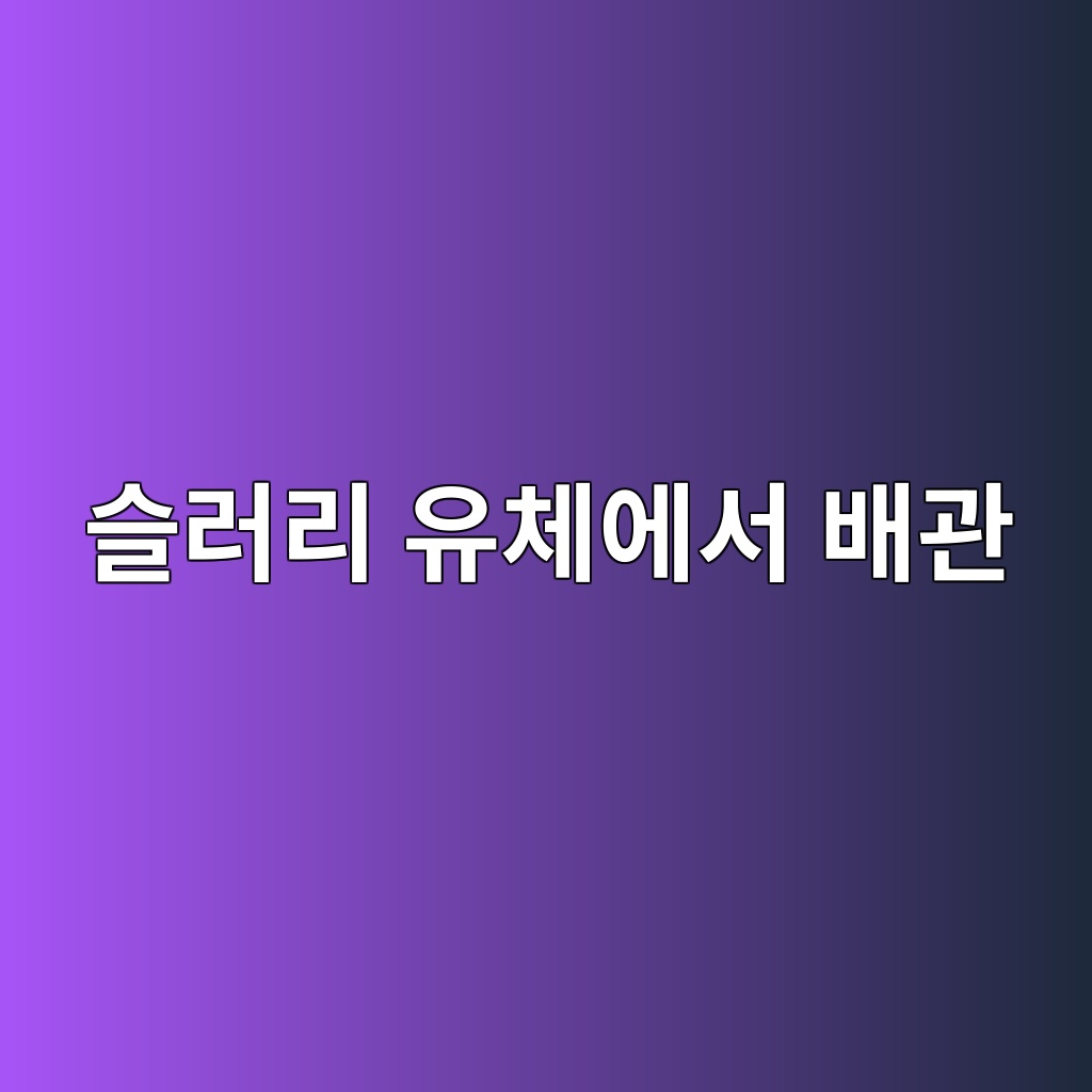 ec8aaceb9faceba6ac ec9ca0ecb2b4ec9790ec849c ebb0b0eab480 1787532441