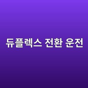듀플렉스 전환 운전