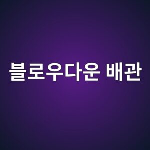 블로우다운 배관