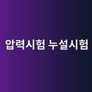 압력시험 누설시험