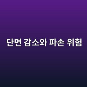단면 감소와 파손 위험