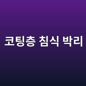 코팅층 침식 박리