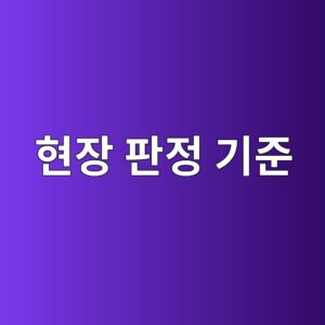 현장 판정 기준